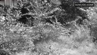 BRIGITTE BARDOT nude in La lumiere d