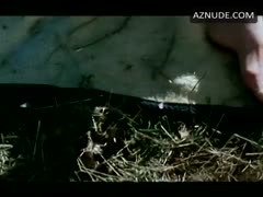 ANNE HECHE nude in Pie in the Sky