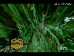 BEYONCE KNOWLES nude in Survivor