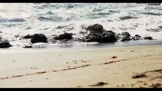 JEMMA DALLENDER nude in Disappearance