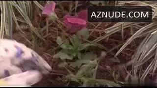 KATHLEEN QUINLAN nude in Lawn Dogs